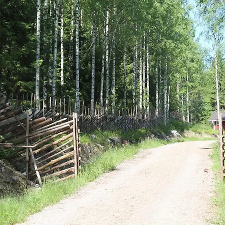 Metsaepirtti
