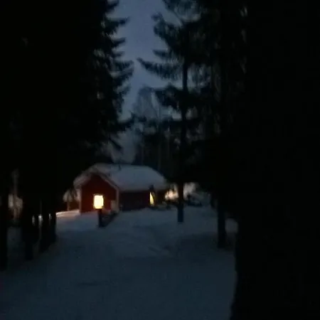 Metsaepirtti Kolinkylä