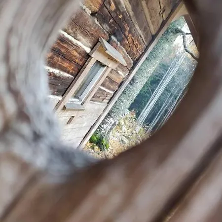 Metsaepirtti Kolinkylä