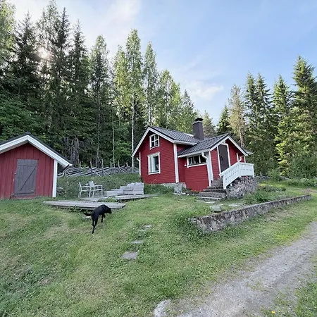 Metsaepirtti * Kolinkylä