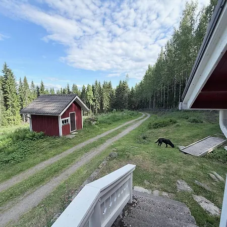Metsaepirtti * Kolinkylä
