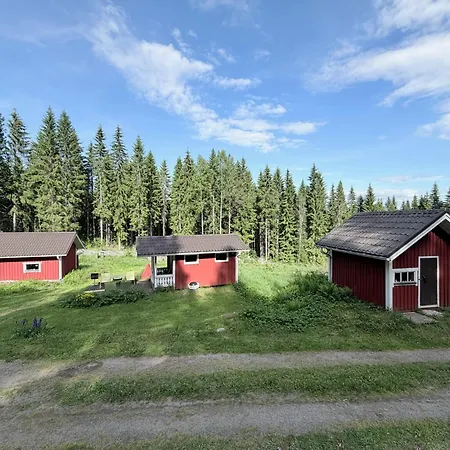 Metsaepirtti Kolinkylä