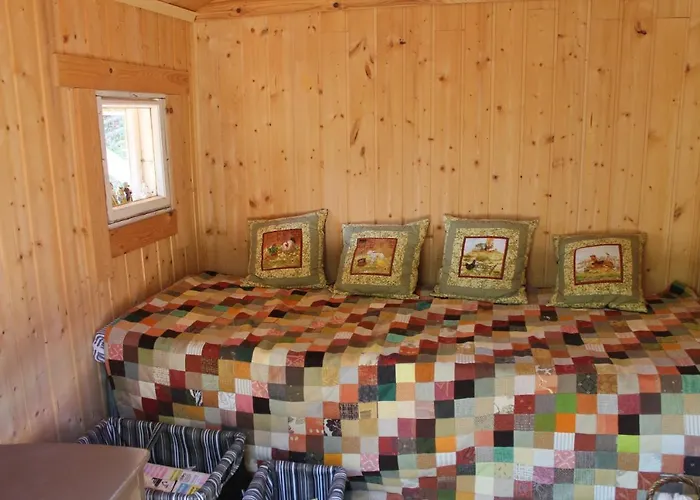 Metsaepirtti Kolinkylä