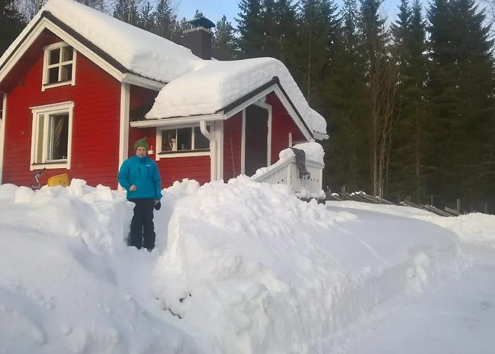 Chalet Metsaepirtti *