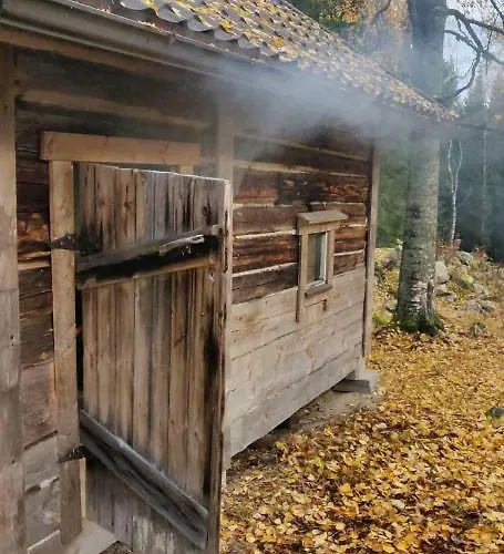 Alpesi faház Metsaepirtti