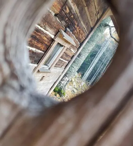 Metsaepirtti コリンカイラ